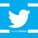 How to download videos from Twitter.