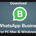 whatsapp for pc, whatsapp business download 2020, whatsapp business apk, whatsapp business api, whatsapp business vs whatsapp, can i use whatsapp business on pc, how to create whatsapp business account, whatsapp business download for pc windows 7 32 bit,