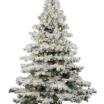 Vickerman Christmas Tree