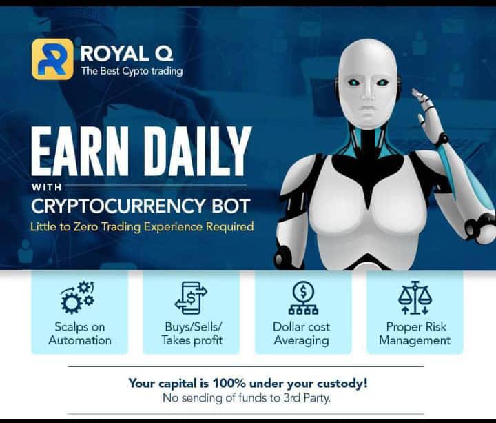 Royal Q AI Trading Robot Information | How Real is Royal Q Robot? - Register Now!