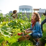 Farm Jobs For Foreigners In US