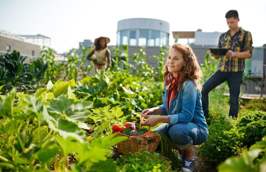 Farm Jobs For Foreigners In US