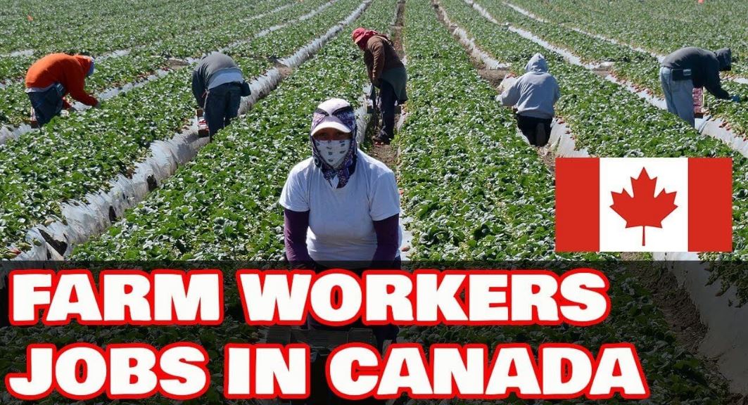 Farm Jobs in Canada with Free Visa Sponsorship 2022