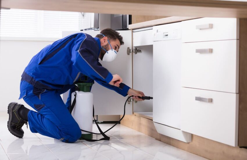 Apply For Canadian Visa Sponsorship For Pest Control Workers