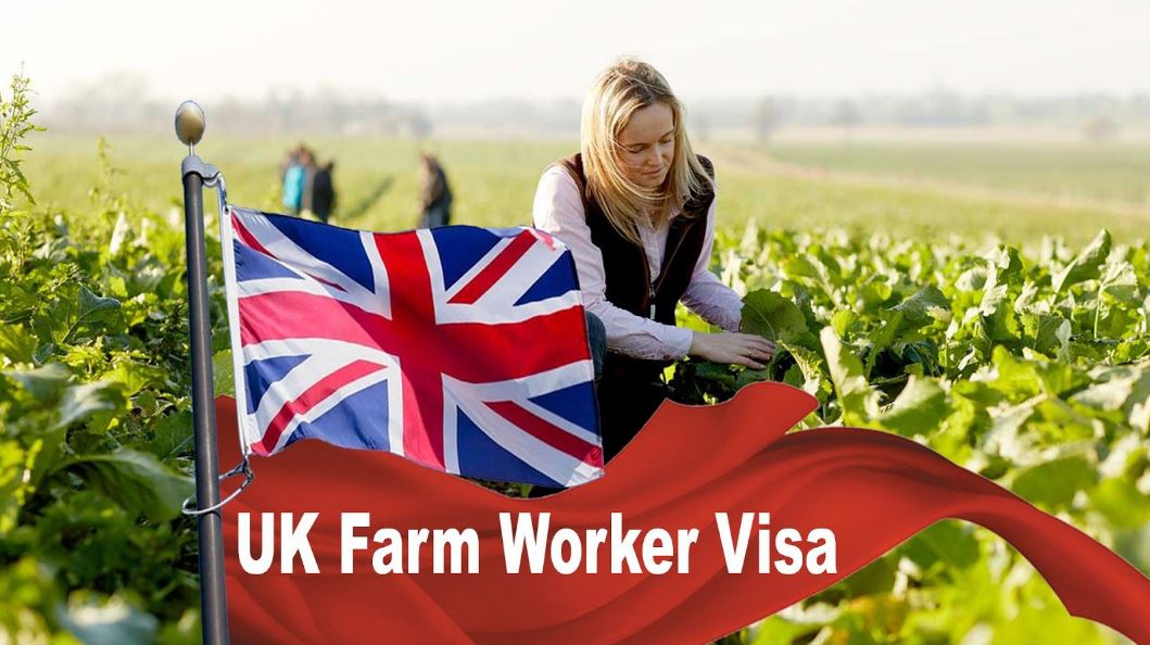 Farm work in uk for foreigners